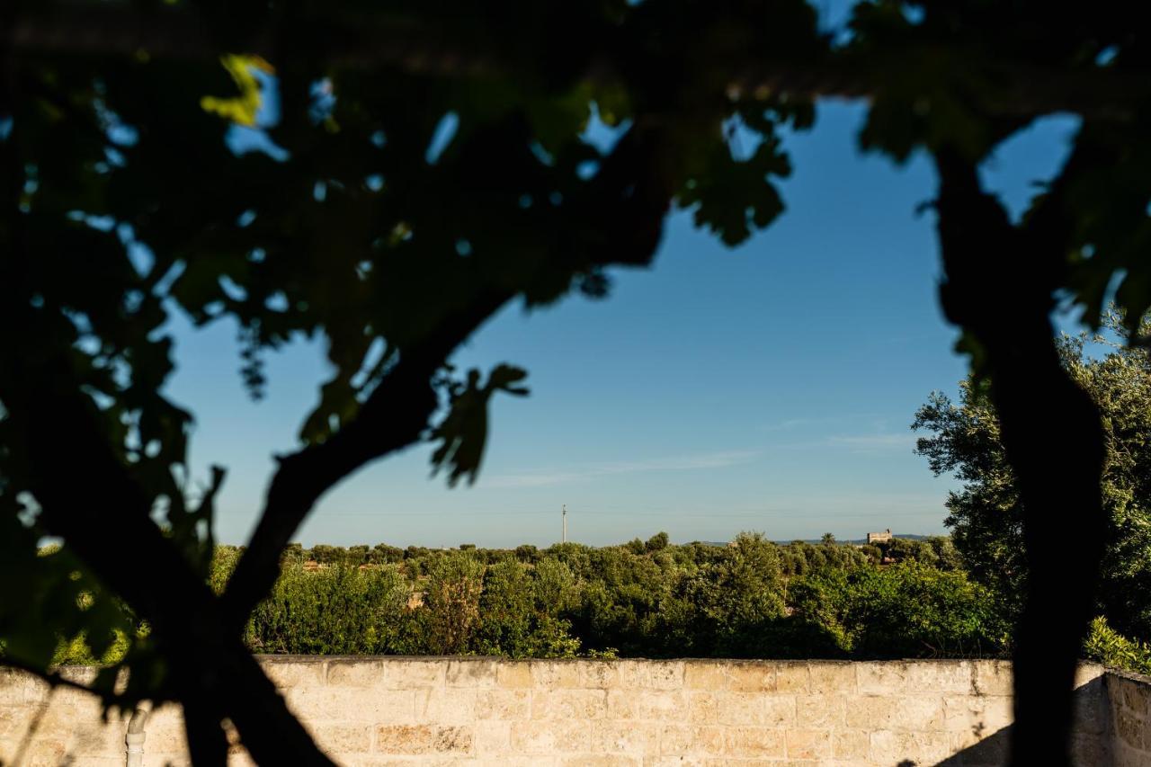 Il Pergolato Sul Mare Βίλα Monopoli Εξωτερικό φωτογραφία